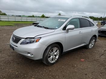  Salvage Lexus RX