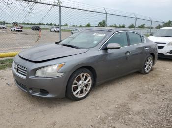  Salvage Nissan Maxima