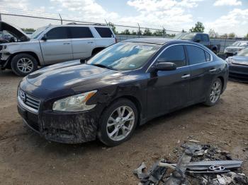  Salvage Nissan Maxima