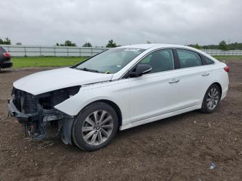  Salvage Hyundai SONATA