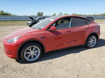  Salvage Tesla Model Y