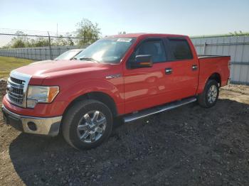  Salvage Ford F-150