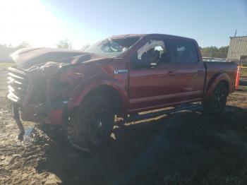  Salvage Ford F-150