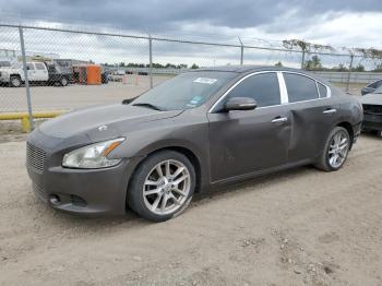  Salvage Nissan Maxima