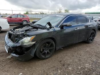  Salvage Nissan Maxima