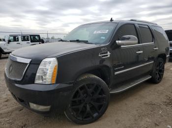  Salvage Cadillac Escalade