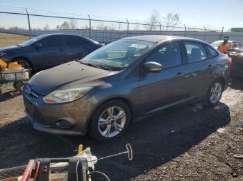  Salvage Ford Focus