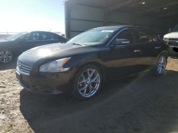  Salvage Nissan Maxima