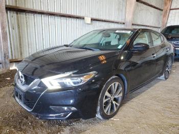  Salvage Nissan Maxima