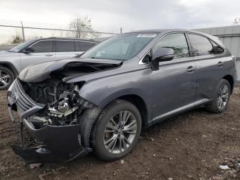  Salvage Lexus RX