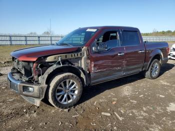  Salvage Ford F-150