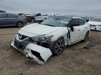  Salvage Nissan Maxima