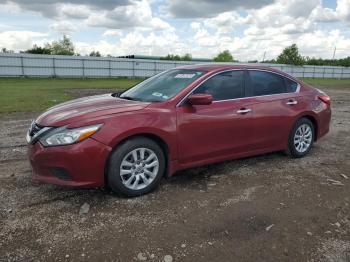  Salvage Nissan Altima