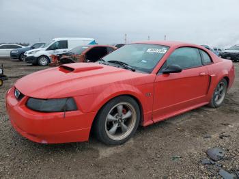  Salvage Ford Mustang