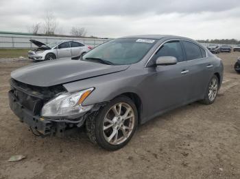  Salvage Nissan Maxima