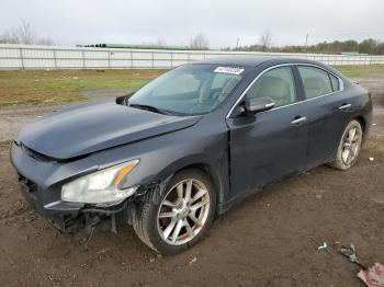  Salvage Nissan Maxima