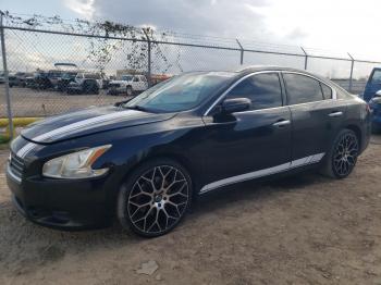  Salvage Nissan Maxima