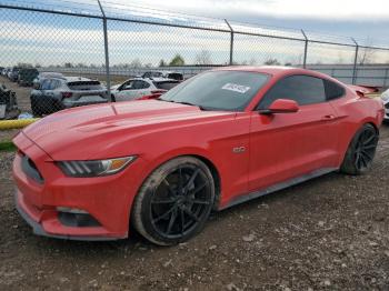  Salvage Ford Mustang