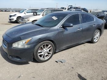  Salvage Nissan Maxima