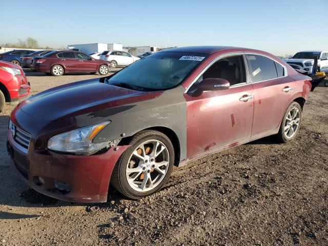  Salvage Nissan Maxima