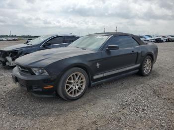  Salvage Ford Mustang