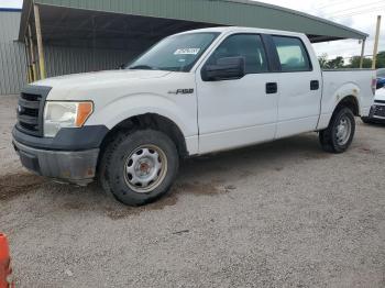  Salvage Ford F-150