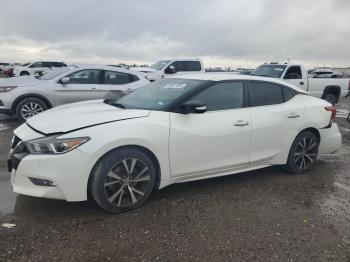  Salvage Nissan Maxima