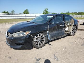  Salvage Nissan Maxima