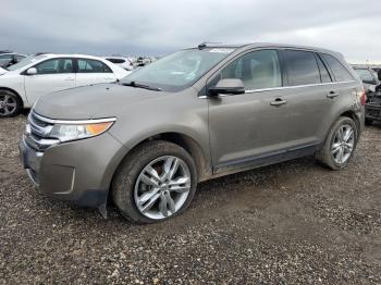  Salvage Ford Edge