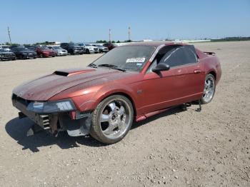  Salvage Ford Mustang