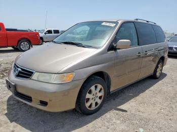  Salvage Honda Odyssey