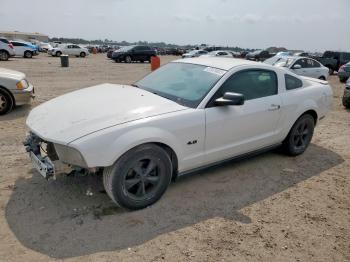  Salvage Ford Mustang