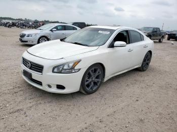  Salvage Nissan Maxima