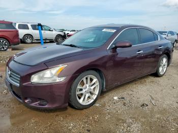  Salvage Nissan Maxima
