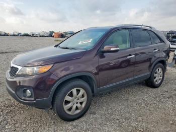  Salvage Kia Sorento