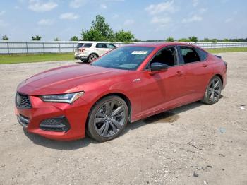  Salvage Acura TLX