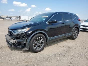  Salvage Honda Crv