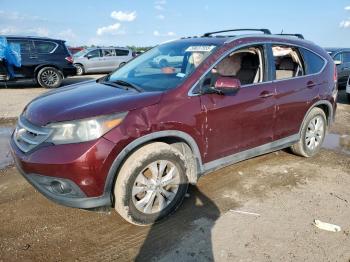  Salvage Honda Crv