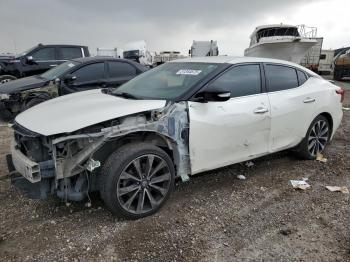  Salvage Nissan Maxima