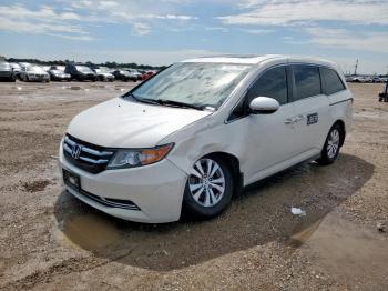  Salvage Honda Odyssey