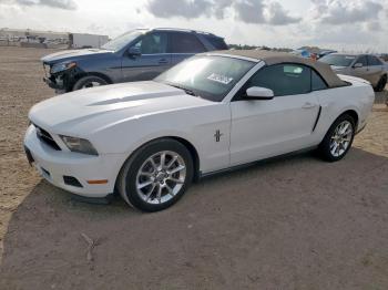  Salvage Ford Mustang