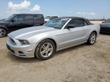  Salvage Ford Mustang