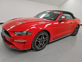  Salvage Ford Mustang