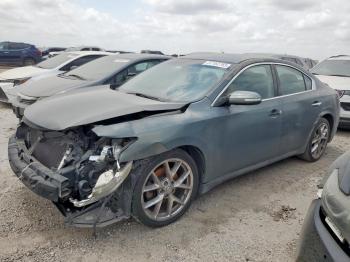  Salvage Nissan Maxima