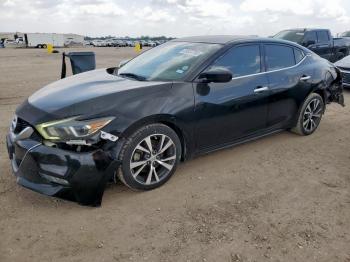  Salvage Nissan Maxima