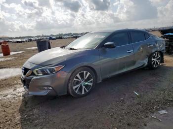  Salvage Nissan Maxima