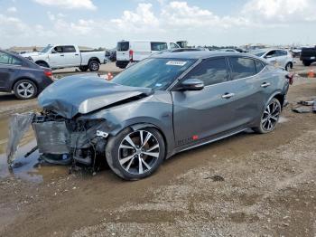  Salvage Nissan Maxima