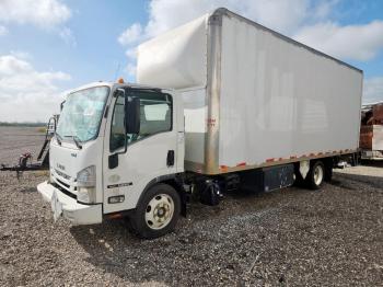  Salvage Isuzu Nrr