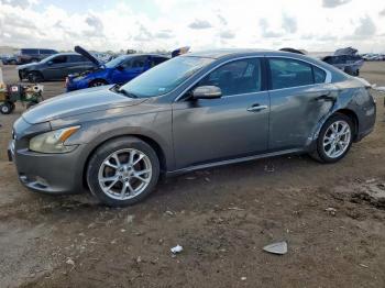  Salvage Nissan Maxima
