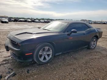  Salvage Dodge Challenger